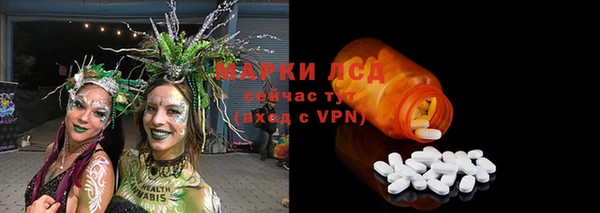 эйфоретик Аркадак